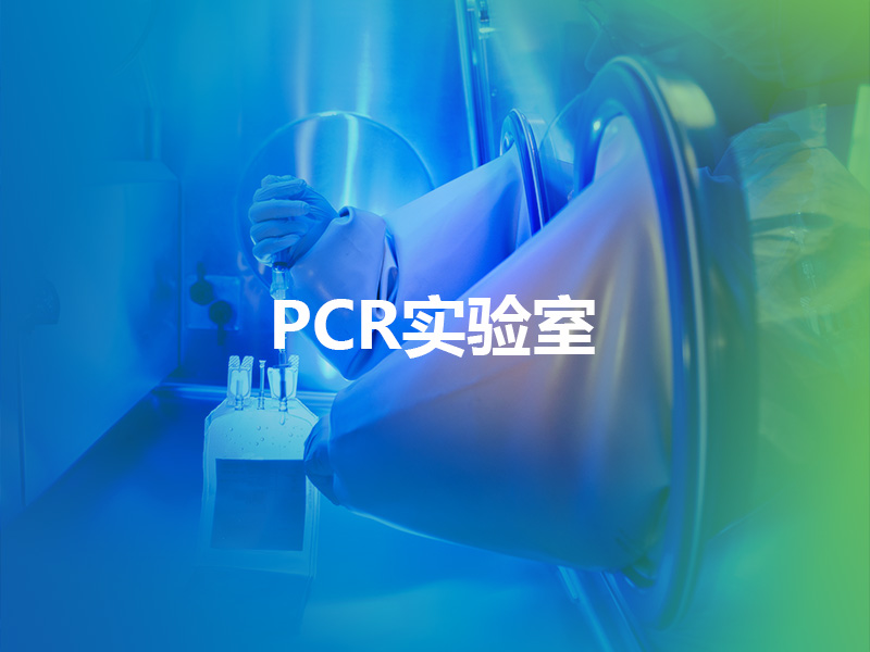 PCR实验室.jpg